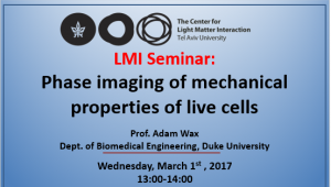 LMI Seminar