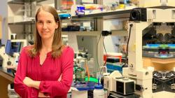 Dr. Gili Bisker