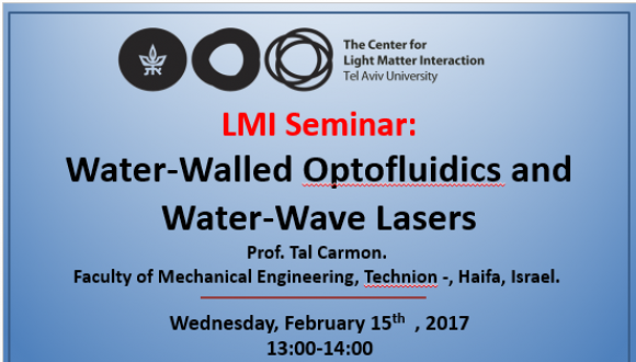 LMI SEMINAR